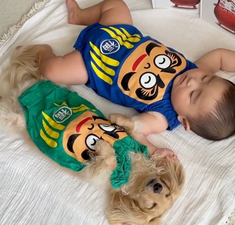 だるまコーデ赤ちゃんとわんこ斜め後ろからアップ