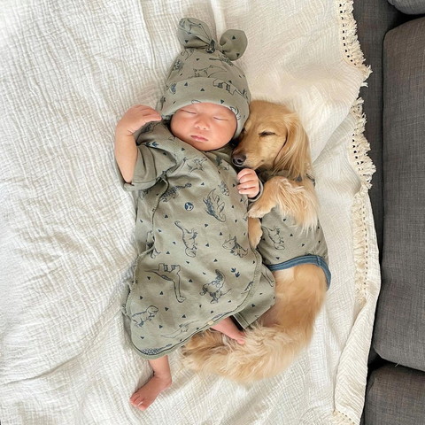 おそろいのグレーの服で寝る赤ちゃんとワンコ