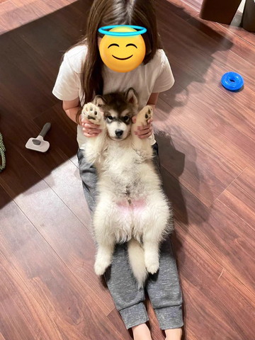 おすすめ