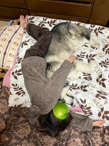 飼い主とワンコ逆さま