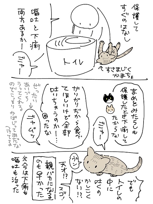 保護猫漫画3