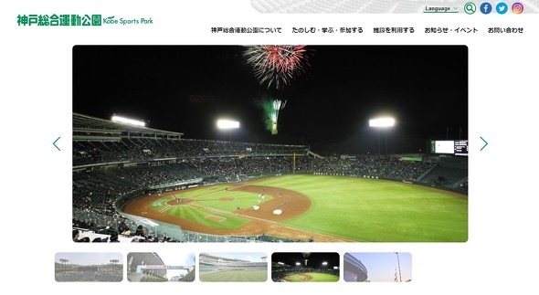 球場　カブトムシ