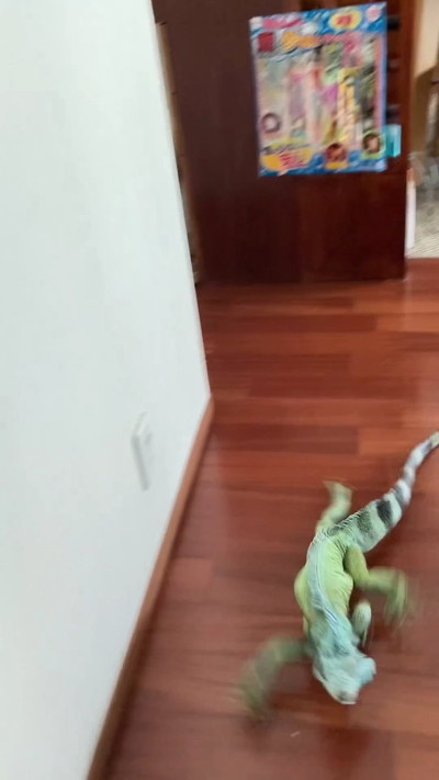 駆け寄るイグアナ