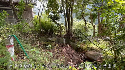 池を再生させます