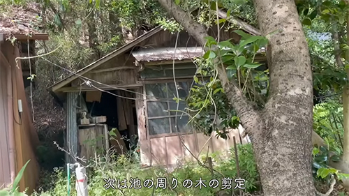 次は剪定（せんてい）