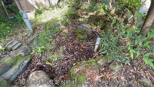 池に入ります