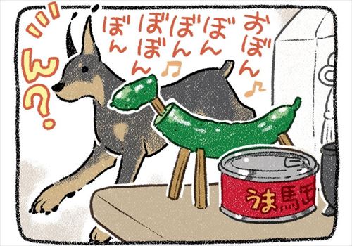 お盆にかえってきた愛犬