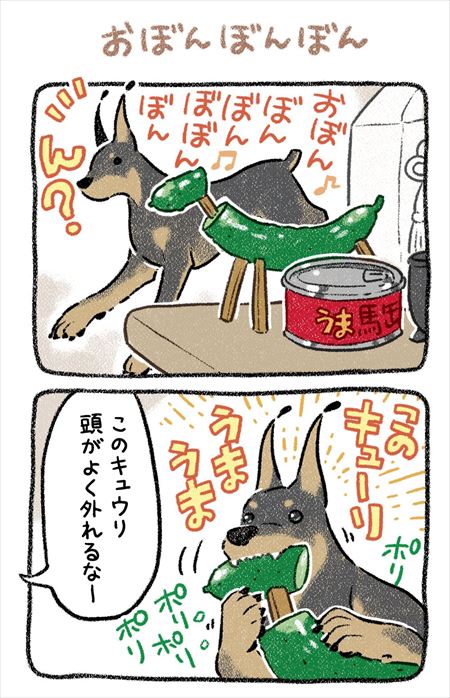 お盆にかえってきた愛犬