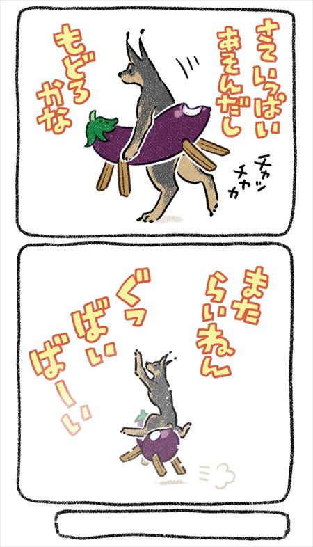 お盆にかえってきた愛犬