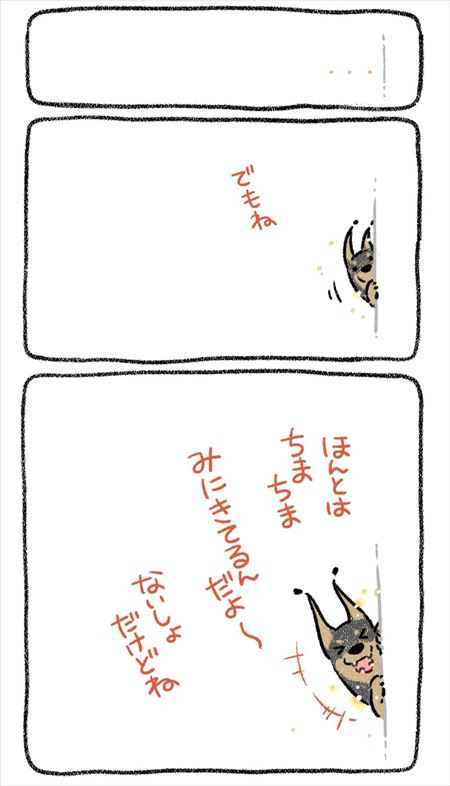 お盆にかえってきた愛犬