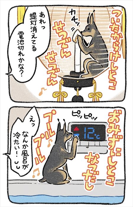 お盆にかえってきた愛犬