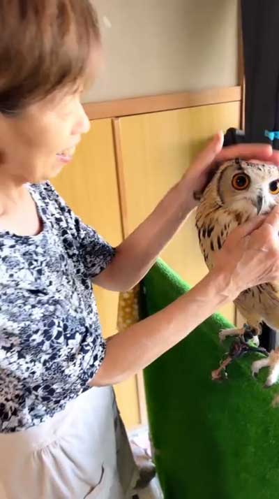 おすすめ