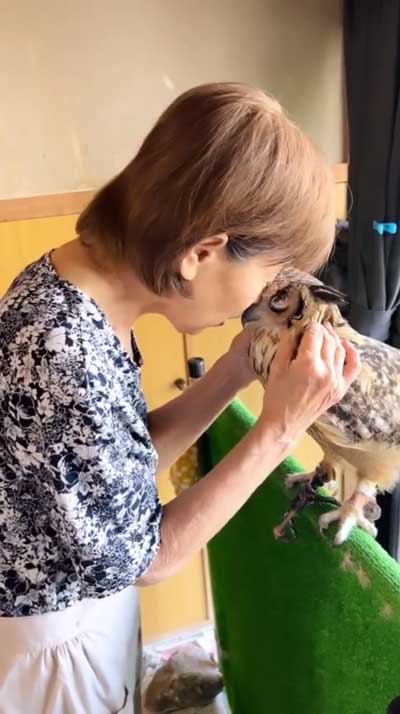 おでこくっつけるおばあちゃんとみみずく