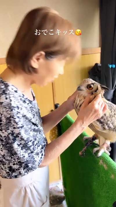 ラブラブなおばあちゃんとみみずく