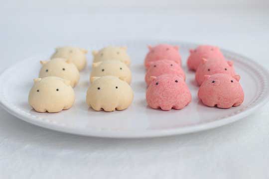 メンダコ クッキー 手作り お菓子