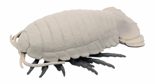 深海のひみつ　海底世界