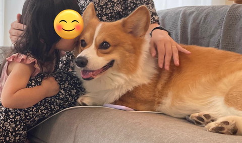 チューされてるワンコ