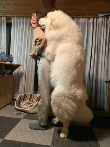 おすすめ