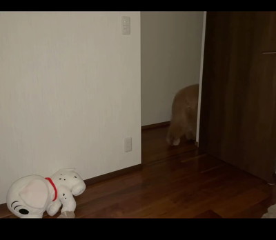 哀愁あるワンコの背中