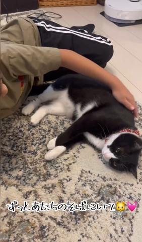 ずっとあたちのそばにいてテロップ