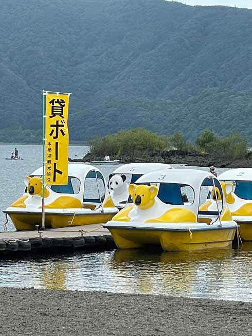 スワンボート ムキムキ マッチョ コアラ 肩幅 本栖湖 パンダ 筋肉