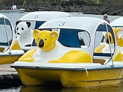 スワンボート ムキムキ マッチョ コアラ 肩幅 本栖湖 パンダ 筋肉