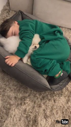 「Kiddo and Dog Duo in Dreamland || ViralHog」