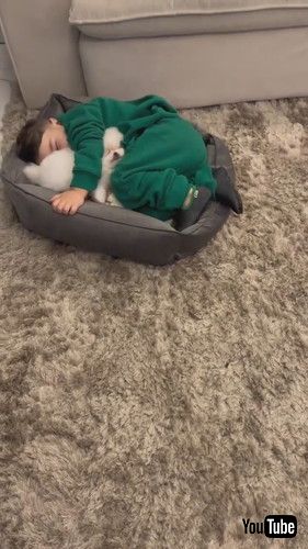 「Kiddo and Dog Duo in Dreamland || ViralHog」