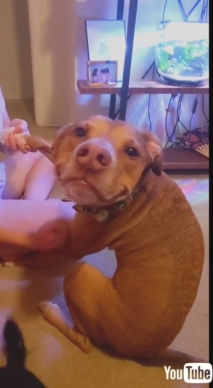 幸せそうな表情