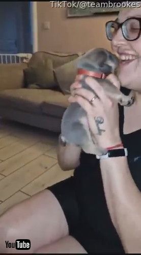 かわいい遠吠え