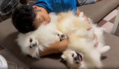 3匹を抱きしめるパパさん