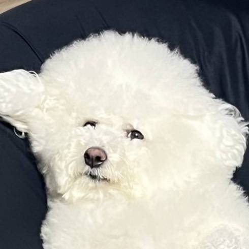プンちゃん 寝たふり 起きてる