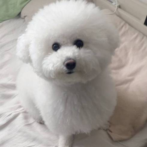 プンちゃん 寝たふり 起きてる