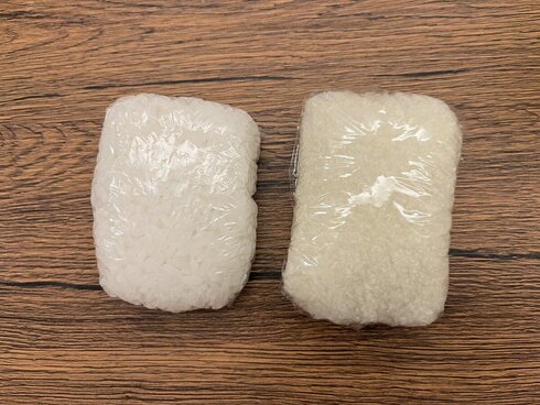 冷凍ごはんのぬいぐるみ01