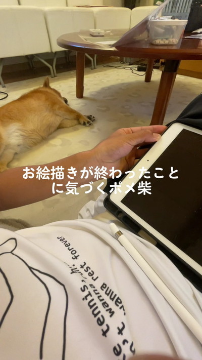 寝ていたワンコ