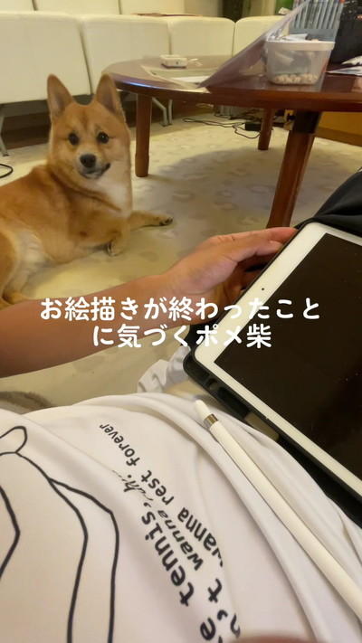 起き上がったワンコ