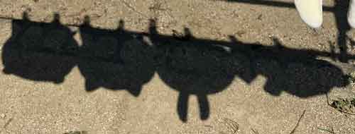 ちいかわ クッション 干した 影 かわいい 天日干し