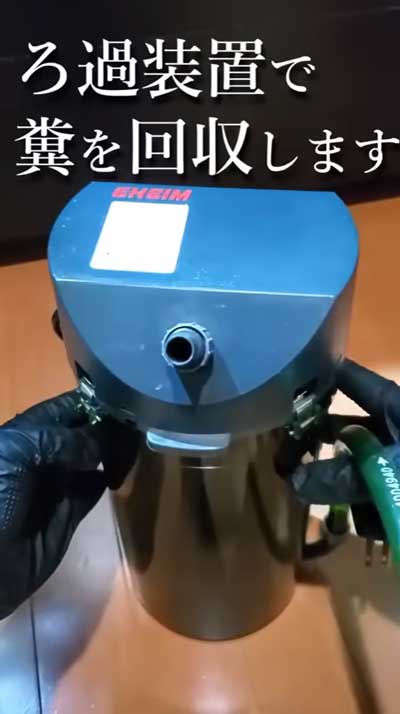 汚れた金魚の水槽をきれいにする方法