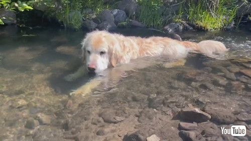 景色を見回します