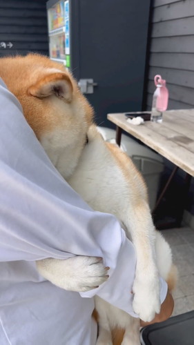 脇にスポッとするのが好きななぎまるくん