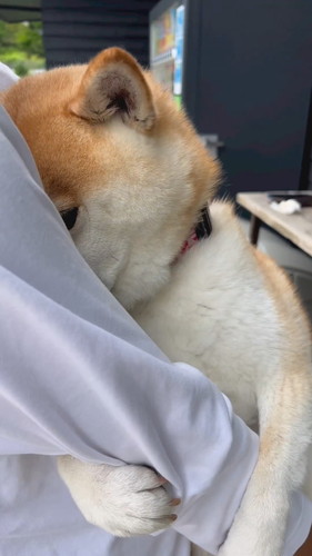 脇にスポッとするのが好きななぎまるくん