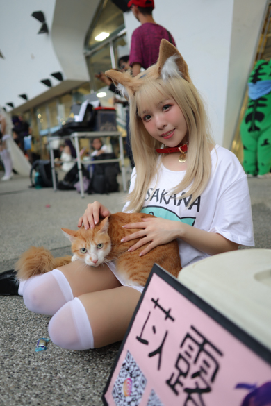 _doruru_の「うちのねこが女の子でかわいい」きなこ