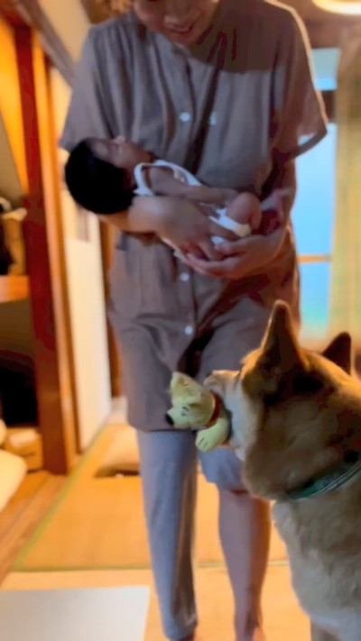 おもちゃ持ってきたワンコ