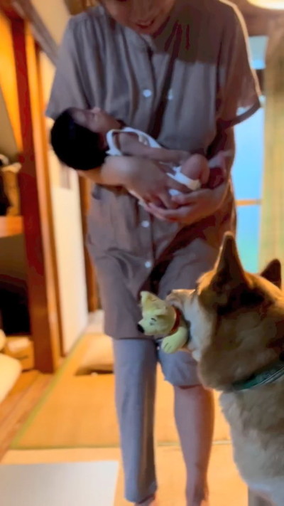 赤ちゃんとワンコ