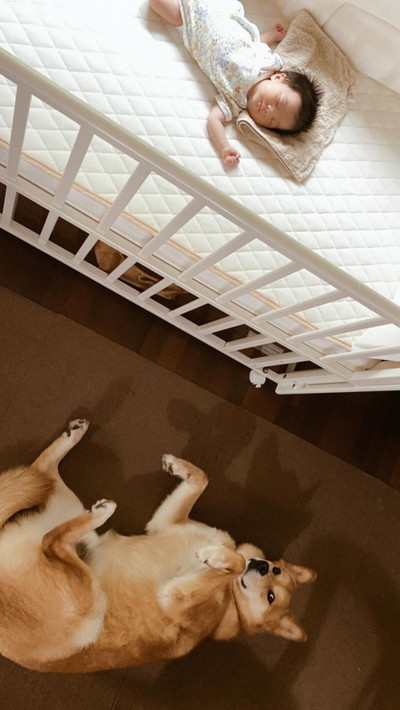 赤ちゃんと寝るワンコ