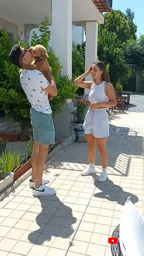 再会トイプードル