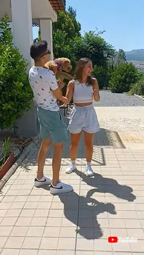 再会トイプードル