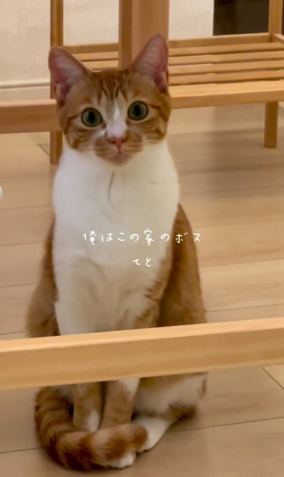 俺はこの家のボス