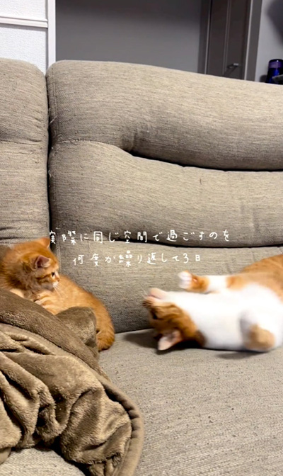 何度か繰り返して