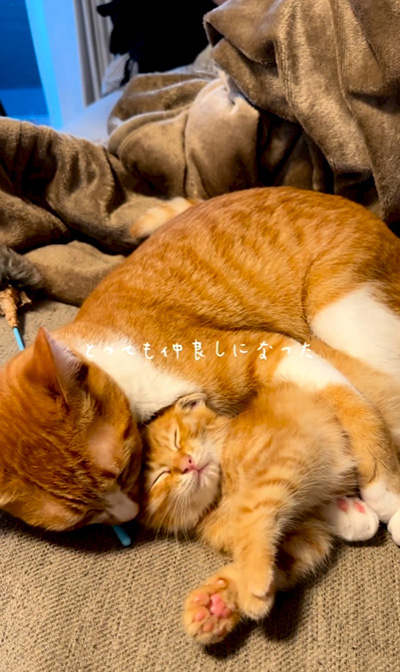 仲良しになった